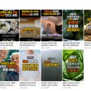 생성형 AI와 함께 뮤직비디오 만들기 이미지