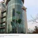 안양 우편집중국 앞 이미지