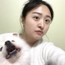 뷰티엔봄 | 대구 달서구 속눈썹펌{뷰티엔봄}/노글로우펌 후기