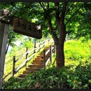 낙지한마리수제비 이미지