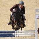 장수승마장 이미지