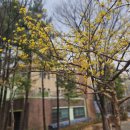 동춘2동 행정복지센터 이미지