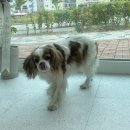 미용천하