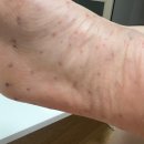 세란마취통증의학과의원 이미지