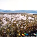 금강갈비 이미지