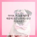 건강더하기치과의원 이미지