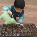 목화유치원 이미지