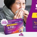 알레그라 이미지