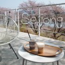 에브리선데이커피부용점 이미지