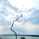 달빛관광 코스 이미지