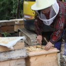 경남양봉원 이미지