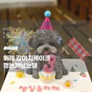 멍는개남는댕 | 위례 강아지케이크 추천 멍는개남는댕 강아지생일케이크 내돈내산
