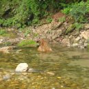 대곡초등학교 삼거리 이미지