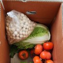 낙동강변로4-3 이미지