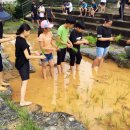 문흥초등학교 이미지