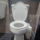 진성투토펠리체 이미지