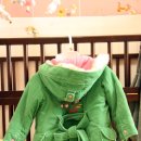 초록세탁 이미지