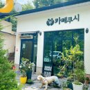 카페쿠시 이미지