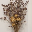 바른몸힘한의원 이미지