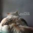 마론도리스(Marondollis) 이미지