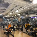 스파리스 이미지