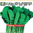 H0063 이미지