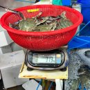 부광수산 - 서산시 읍성마을2길 9 | 제철 🦀꽃게 득템! 소래포구 부광수산 & 광명수산 방문 후기