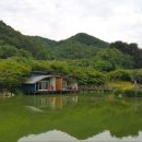 개나리낚시공원 이미지