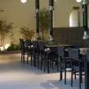 고기의 숲 이미지