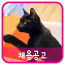 캣틀리에 이미지