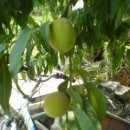 우승농장 이미지