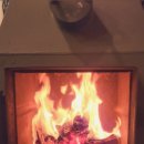 에코키즈스테이 이미지