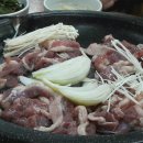 시골집오리농원 이미지