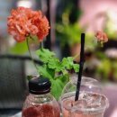 플렉스 PC cafe 이미지