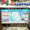 속초관광수산시장(구 속초중앙전통시장) 이미지