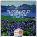 가은4호 이미지