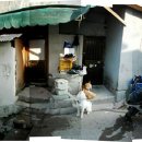 장수마을 이미지