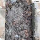 주식회사 가람 이미지