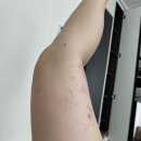 잠실 폴댄스 벨루아 폴댄스 11회(2달) 수강후기👯‍♀️