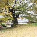 안리경로당 이미지