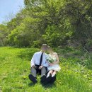 강남시장(2) | W02 강남고속터미널 조화부케, 꽃시장 조화시장, 셀프 웨딩촬영 사용 후기(2가지 타입 부케)