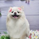알콩이달콩이
