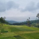 스톤게이트C.C 이미지