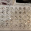 글라스박스안경 천안신부동점 이미지