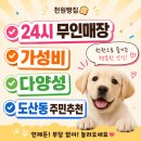 빛고을식품 | 도산동 숨은 가성비 성지, 천원빵집 도산점 솔직 방문 후기🍞🍦