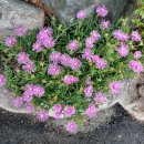 초동면행정복지센터 이미지