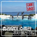 이노타워 | 아이와 츄라우미 수족관 꿀팁 | 주차·동선·이노