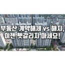 행운부동산중개 이미지