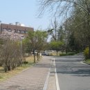 충북대학교 이미지