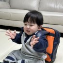 목동칼국수 이미지